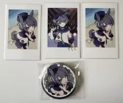 CrazyRaccoon CRFES CR 2025 缶バッジ チェキ ADE