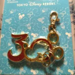 東京ディズニーリゾート 30周年キーホルダー