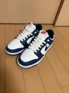 Nike Dunk Low バレリアンブルー