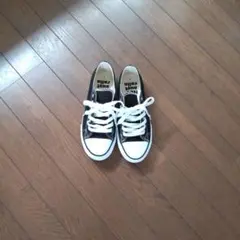 Item thumbnail for item 831d59f2-48ad-436d-a910-ac053d891851