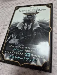 ツイステッドワンダーランド　ツイステ　カウントダウン ポストカード　ポスカ　フル