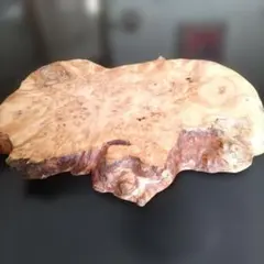 北海道黒松内産 天然木瘤花台・飾り台