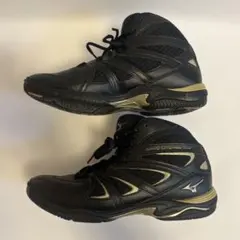 ミズノ　ウェーブダイバーズ　MIZUNO WAVE DIVERSE LG3のサムネイル