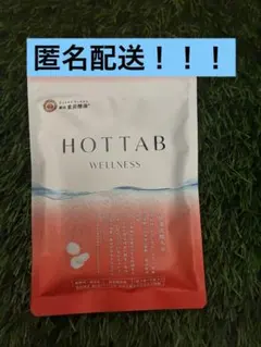 【HOTTAB WELLNESS】入浴剤 9錠★のサムネイル