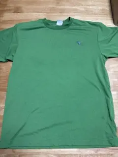 THE NORTH FACE 緑色 Tシャツ Sサイズ