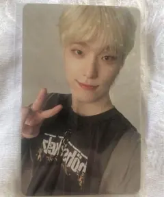 セブチ ディノ　carat盤　weverse特典