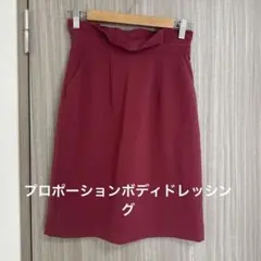 PROPORTION タイトスカート サイズ2