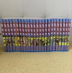 STEEL BALL RUN 全巻セット 1-24巻 荒木飛呂彦