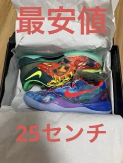 Nike Kobe 8 Protro What The Kobe? 25㎝