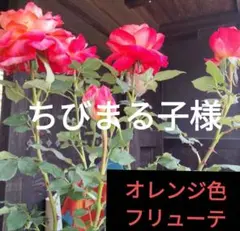 ちびまる子様 リクエスト 2点 まとめ商品