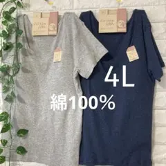 綿100％ カップ付き 半袖(フレンチ袖) 2枚組 4L 大きいサイズ グレー