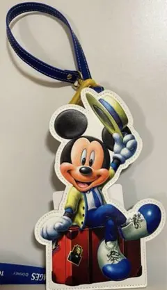 ディズニー バケーションパッケージ パスケース ディズニーリゾート