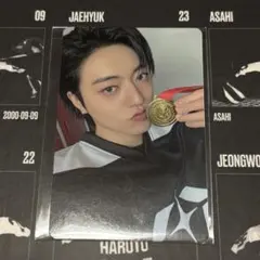 TREASURE シーグリ MD 特典 トレカ ハルト