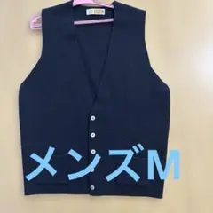 Item thumbnail for item ee0a9def-04bd-480a-a6e2-d7afb7125e35