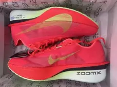 ナイキヴェイパーフライ 4メンズロード レーシングシューズ