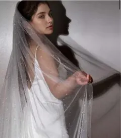 Item thumbnail for item aa1f904b-d997-4bb6-9750-d0470f0da69a