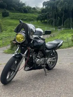 HONDA ゼルビス VT250FN 実働 早い者勝ち