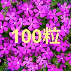 パンダ様 リクエスト 2点 まとめ商品