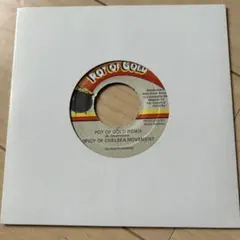 レゲエ レコードPOT OF GOLD REMIX SPICY