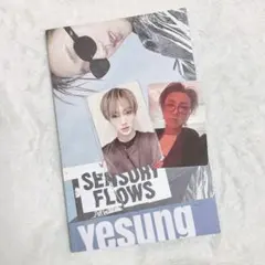 2026年最新】イェソン sensory トレカ flowsの人気アイテム - メルカリ