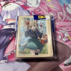 Item thumbnail for item 33f4db75-e3a1-4a13-bdb5-b1dfc17f6866