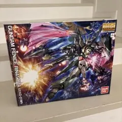 【未開封/箱傷み】MG ガンダムフェニーチェリナシータ 1/100 ②のサムネイル