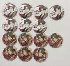 蓮巳敬人 缶バッジ セット