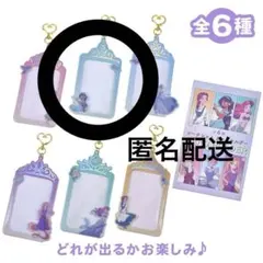 ディズニープリンセス シークレットカードホルダー ジャスミン