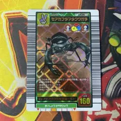 ムシキングコレクション様 リクエスト 2点 まとめ商品