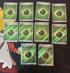 草エネルギー　sr s12a 10枚