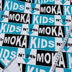 1枚限定 英字 裏毛ニット 生地