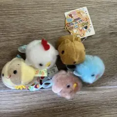 2026年最新】ぷちまる ことり隊の人気アイテム - メルカリ