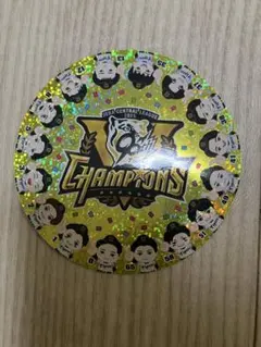 阪神タイガース優勝記念