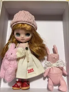 お迎えがきまりました♡カスタム プチブライス ᝰ✍︎ ココアバター