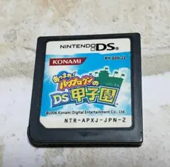 パワプロクンのDS甲子園