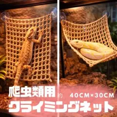 767 爬虫類 クライミングネット 40×30cm 吸盤固定 ケージ 壁面のサムネイル
