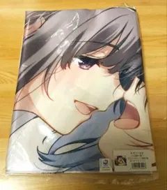 新品】Free! 映画 ハイ⭐︎スピード! 等身大布ポスター 桐嶋郁弥