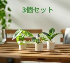 ☆新品☆IKEA イケア フェイカ 人工観葉植物　リーフ　3個セットのサムネイル
