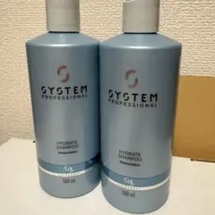 システム プロフェッショナル バランス シャンプー 500ml 2本セット システム プロフェッショナル バランス シャンプー 500ml 2本セット