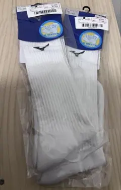 Item thumbnail for item 14aac6f6-6f88-40af-a269-313b02779771