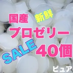 プロゼリー40 昆虫ゼリー クワガタ・カブトムシ・ハムスター・モモンガ・小動物Bのサムネイル