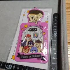 s*a様 岩田剛典 フォトカードケース 未開封