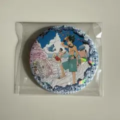 HUNTER × HUNTER コレクション缶バッジ レア