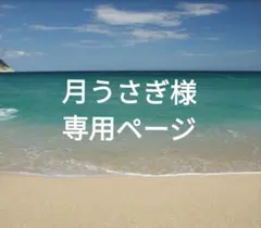 月うさぎ様☆専用ページ