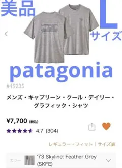 【美品】パタゴニア　キャプリーンクールデイリーグラフィックシャツ　Lサイズ