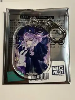 マクロスジャーニー アクリルキーホルダー 美雲・ギンヌメール 超時空銀河紀行