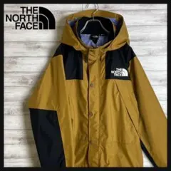 名作】NORTH FACEマウンテンパーカー ゴアテックス 人気色 入手困難 