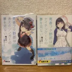 【中古品・即購入可能】青春ブタ野郎シリーズ2冊
