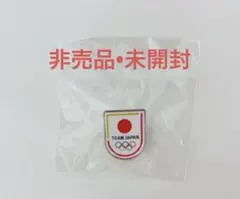 【希少品】TEAM JAPAN オリンピック ピンバッジ 日本代表 アジア大会