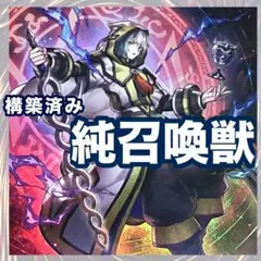 構築済み！召喚獣デッキ